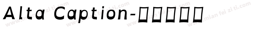 Alta Caption字体转换